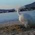 Alyko Beach Naxos Island Greece