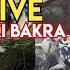 Tolichowki Bakra Mandi 2025 Live Qurbani Ke Bade Bakre In Tolichowki Near Ahah Ghouse Hotel Hyd