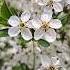 там где моей душе хорошо природа Nature Naturevibes Spring весна счастье душа