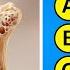 Can You Pass This Human Body Quiz 50 Question Anatomy Trivia