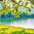 Music Heals The Heart And Blood Vessels Calming Music Restores The Nervous System Relaxing