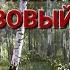 ПЕСНЯ Я В ВЕСЕННЕМ ЛЕСУ ПИЛ БЕРЁЗОВЫЙ СОК В М ПИЛЯВИН