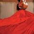 The Red Violin Caprices