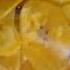 Natural Coconut Oil Making Available Chips 8star Tamil Healthyfood