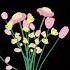 10 May 2024