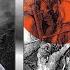Dizharmonia Panakeia Original Mix Beyond Now