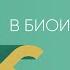 Лекция 16 Введение в биоинформатику Кира Вяткина Лекториум