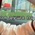 ELMAN Лети Leti Fly Away Elman