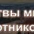 Библейский урок Жатвы много а работников мало От Матфея 9 35 38 В Гаврилов 21 10 2021