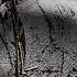 The Evil Within Launch Trailer