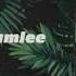 KAMLEE Official Audio SARRB Starboy X