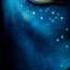 AVATAR SOUNDTRACK 2009 03 Pure Spirits Of The Forest BY JAMES HORNER Wmv