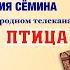 ЮНАЯ ГАРМОНИСТКА и ПЕВИЦА ДИНАРА ВДОВИНА в программе ГОСТИ ВАЛЕРИЯ СЁМИНА на ТВ Жар Птица