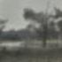 Darkwood Chased By The Swans