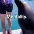 Sea Lion S Core Viral Shortvideo Shorts Trend Trendingshorts Trending Funny Animals Sea