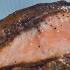 How To Level Up Your Salmon The French Way America S Test Kitchen