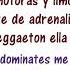 Gasolina Daddy Yankee Lyrics English And Spanish Gasolina English Lyrics Translation Meaning