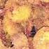 Crevettes Panées Chapelure Crevettes قمرون مقلي فتات الخبز