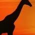 African Folk Music Instrumental Marimba Kalimba Drums