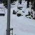 Virtually Empty But Running Chairlifts