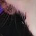 Music Friends A Fluffy Cat Progressive Deep Melodic