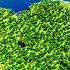 TOP 10 BEST SEEDS For BUILDING In Minecraft 1 21 Bedrock Java