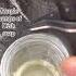How To Get Rid Of Fruit Flies And Gnats