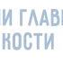 3 Наши главные кости Окружающий мир 3 класс