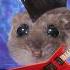 Sad Hamster Becomes RockStar Meme Funny Cute Memes Animals