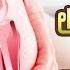 ம ட ட வல வக கள ம க ரணங கள ம Knee Pain Dr Bhuvaneswari Doctoroncall Puthuyugamtv
