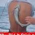 What Happens If This Fish Sticks To You