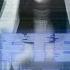 After Dark But Darker Slowed Reverb