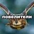 удивительная птица Филин