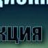 02 Фаваид Полезные наставления АУДИОКНИГА