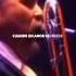 Gitana Willie Colon SalsaLetters SalsaViral SLTS WillieColon
