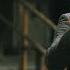 HUNTER Full Episodes 410 502