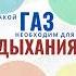 Какой газ необходим для дыхания