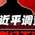 张高丽被习近平调查 私生子女多到记不清 习近平 张高丽 肖建华