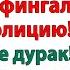 Она хотела быть невестой А стала мерзкой жабой Он выбрал защитить младшую женские истории
