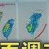 下波鋒面週末報到 全台有雨降溫10度 TVBS新聞
