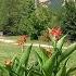Rozhen Monastery And Melnik Bulgaria