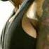 Flo Rida Feat Pitbull Crazy Remix