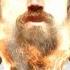 Clutch Burning Beard