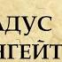 451 градус по Фаренгейту Рэй Брэдбери краткое содержание