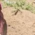 Medina And Elena S Challenging Life In The Heart Of The Mountains In The Absence Of Shahab