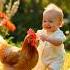 Dudi Dudi Dam Dam Song Aishorts Cutebaby Hen Dudidam Dudidudidam Aiworld Aimagic Aifun