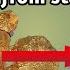 MICROSCOPIC GOLD IN STONE STONE GOLD GOLD STONE