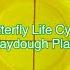 Hands On Science Butterfly Life Cycle Playdough Plate