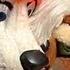 EUROFURENCE 19 OFFICIAL Belo4ka MUSIC VIDEO BY KEKS TWITCH