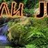 Джунгли Jungle RELAX TIME